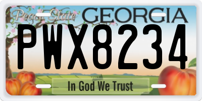 GA license plate PWX8234