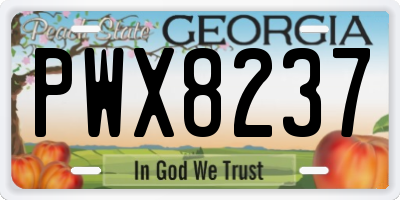 GA license plate PWX8237