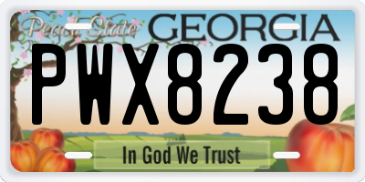 GA license plate PWX8238