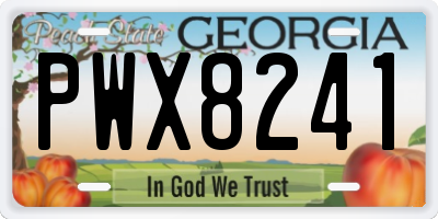 GA license plate PWX8241