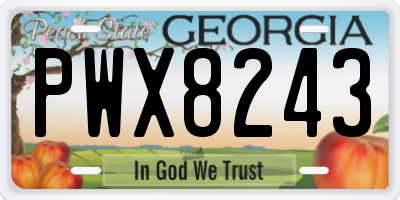 GA license plate PWX8243
