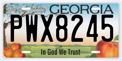 GA license plate PWX8245