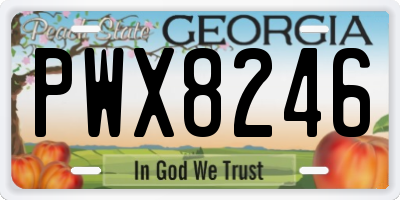 GA license plate PWX8246