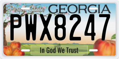 GA license plate PWX8247
