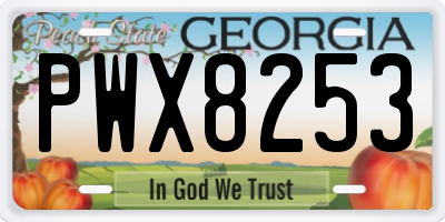 GA license plate PWX8253