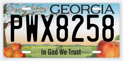 GA license plate PWX8258