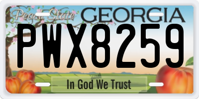 GA license plate PWX8259