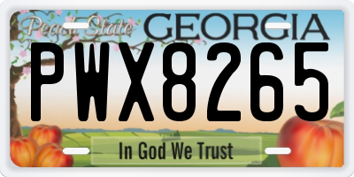 GA license plate PWX8265