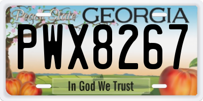 GA license plate PWX8267