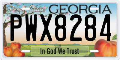 GA license plate PWX8284
