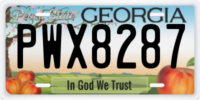 GA license plate PWX8287