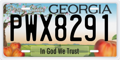 GA license plate PWX8291