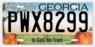 GA license plate PWX8299