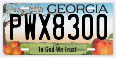 GA license plate PWX8300