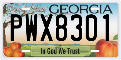 GA license plate PWX8301