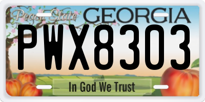 GA license plate PWX8303