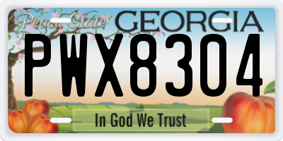GA license plate PWX8304