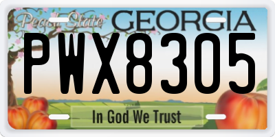 GA license plate PWX8305