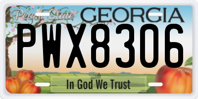 GA license plate PWX8306
