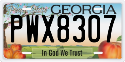 GA license plate PWX8307