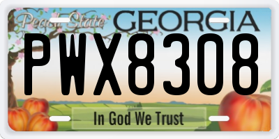 GA license plate PWX8308