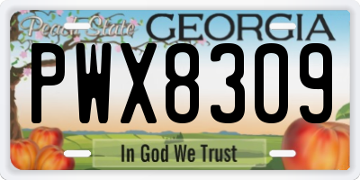 GA license plate PWX8309