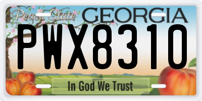 GA license plate PWX8310