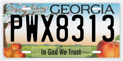 GA license plate PWX8313