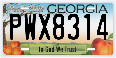 GA license plate PWX8314