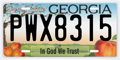 GA license plate PWX8315