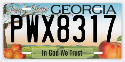 GA license plate PWX8317