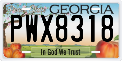 GA license plate PWX8318