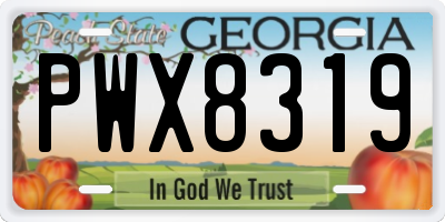 GA license plate PWX8319