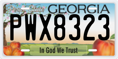 GA license plate PWX8323