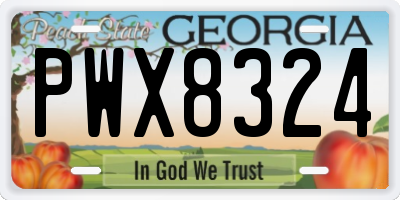 GA license plate PWX8324