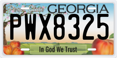 GA license plate PWX8325
