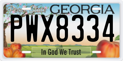GA license plate PWX8334