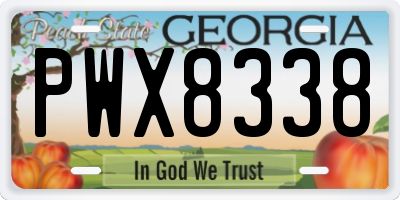 GA license plate PWX8338
