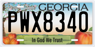 GA license plate PWX8340