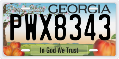 GA license plate PWX8343