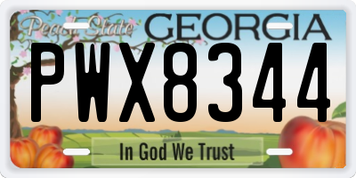 GA license plate PWX8344