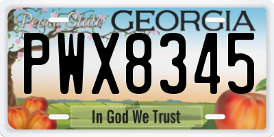 GA license plate PWX8345