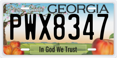 GA license plate PWX8347