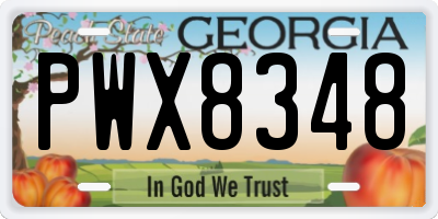 GA license plate PWX8348