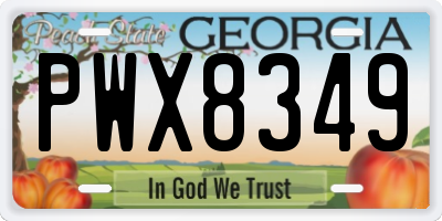 GA license plate PWX8349