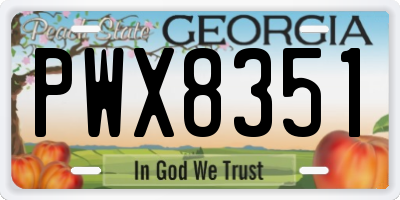 GA license plate PWX8351