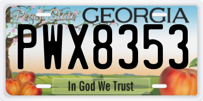 GA license plate PWX8353