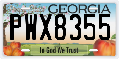 GA license plate PWX8355