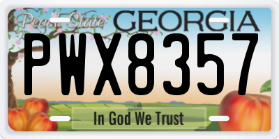 GA license plate PWX8357