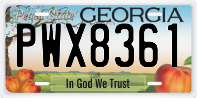 GA license plate PWX8361